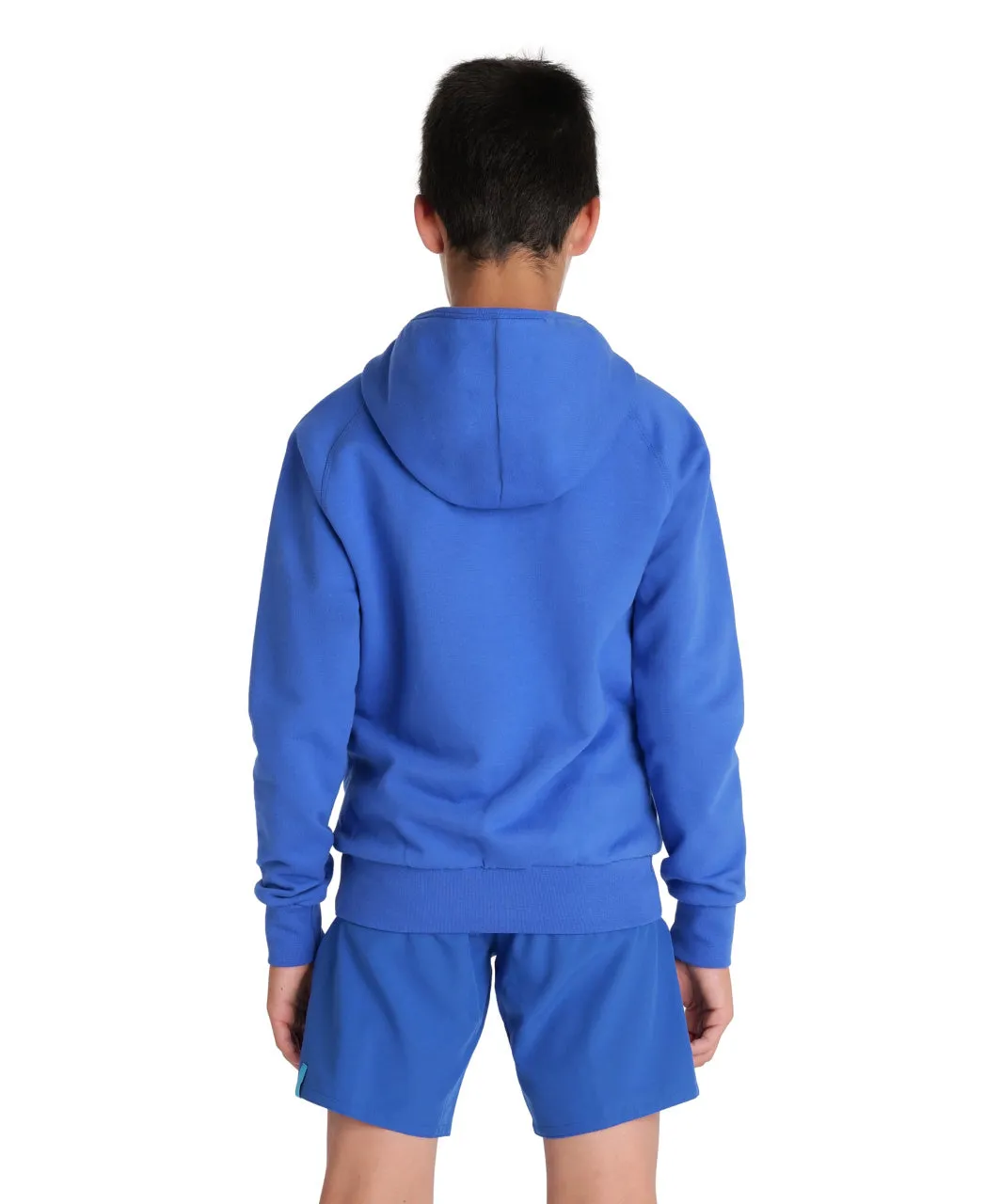 Arena Team Junior Hooded Panel Sweatshirt - Royal