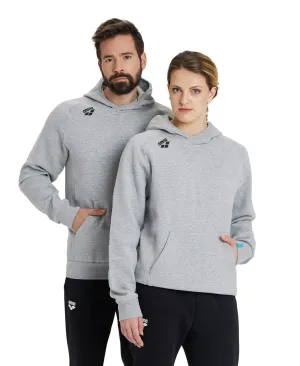 Arena Team Unisex Hooded Panel Sweatshirt -  Medium Grey Heather