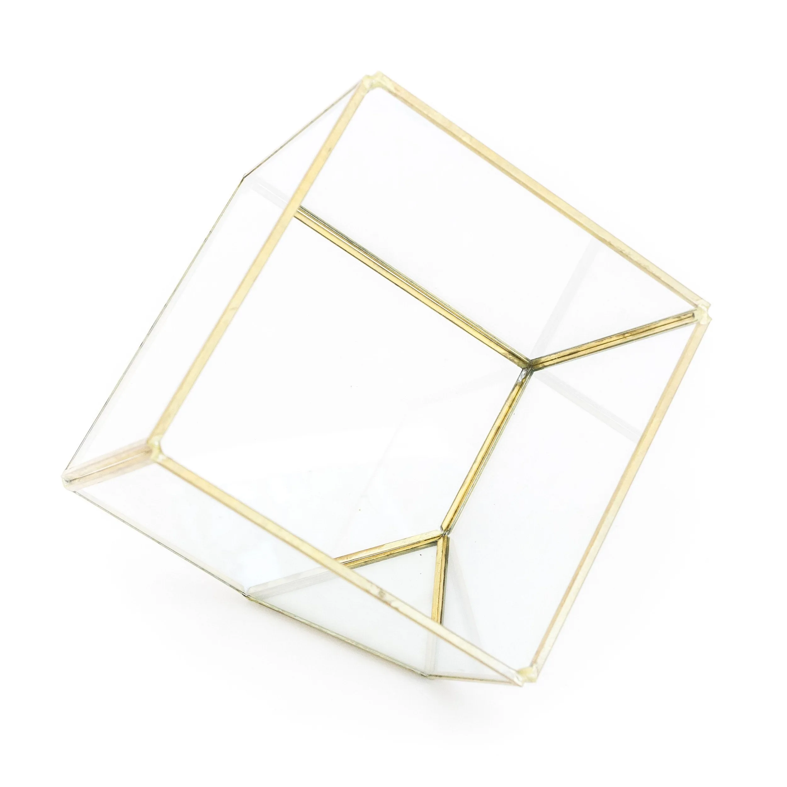 Heptahedron Geometric Glass Terrarium with Tillandsia Xerographica Air Plant
