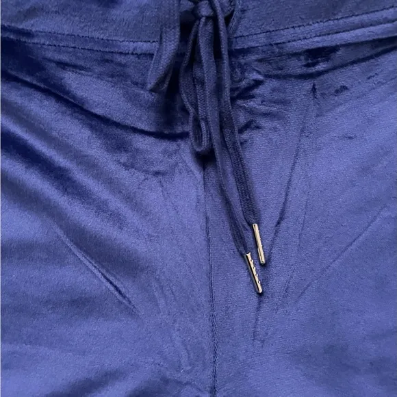 NEW Juicy Couture Velour Big Bling Pants Blue Rhinestone Logo L