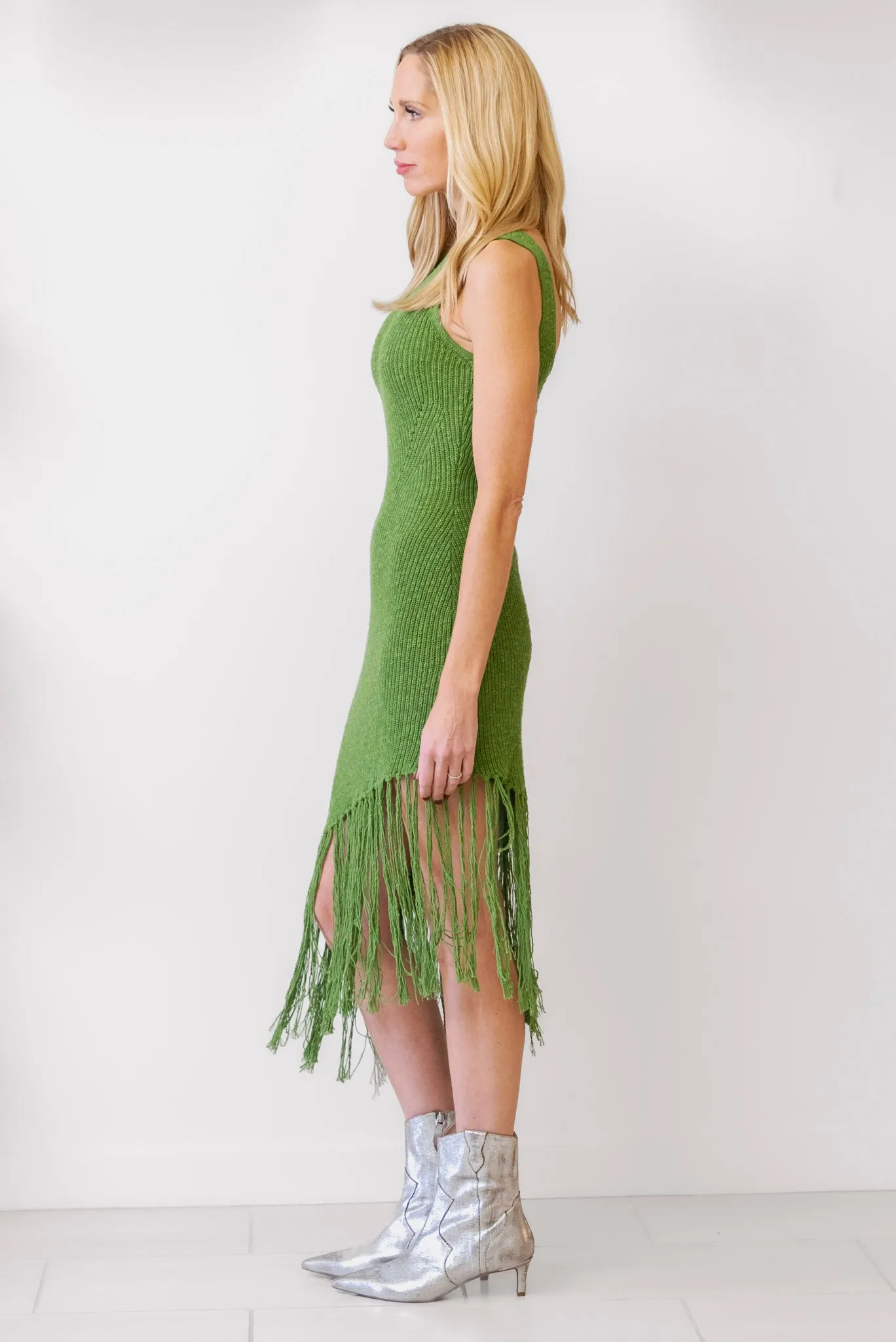 RAILS Rylee Dress