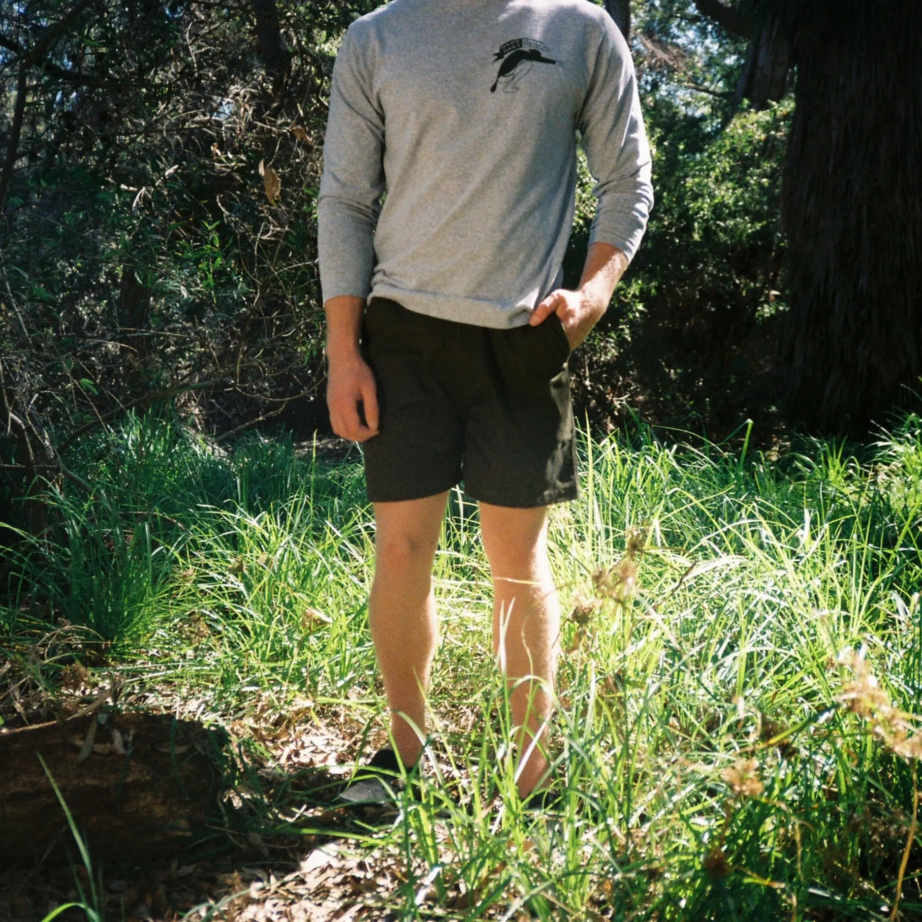 Yellow Rat Boy Scout Shorts - Green
